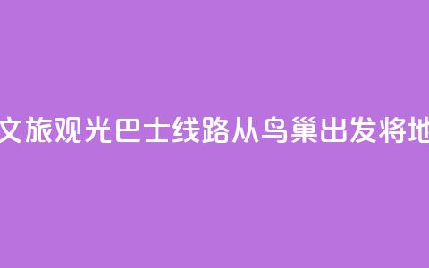 北京开通新文旅观光巴士线路 从鸟巢出发将地标“串珠成链” 第1张