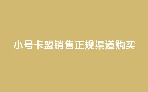 QQ小号卡盟销售，正规渠道购买 第1张