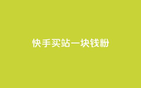 快手买站一块钱1000粉 - 快手一元购站轻松获千粉丝的方法揭秘! 第1张 快手买站一块钱1000粉 - 快手一元购站轻松获千粉丝的方法揭秘! 第1张